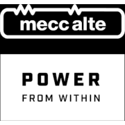 Mecc Alte Generatoren GmbH logo