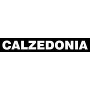 Calzedonia Germany GmbH logo